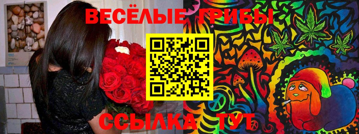 Галлюциногенные грибы MAGIC MUSHROOMS Кропоткин